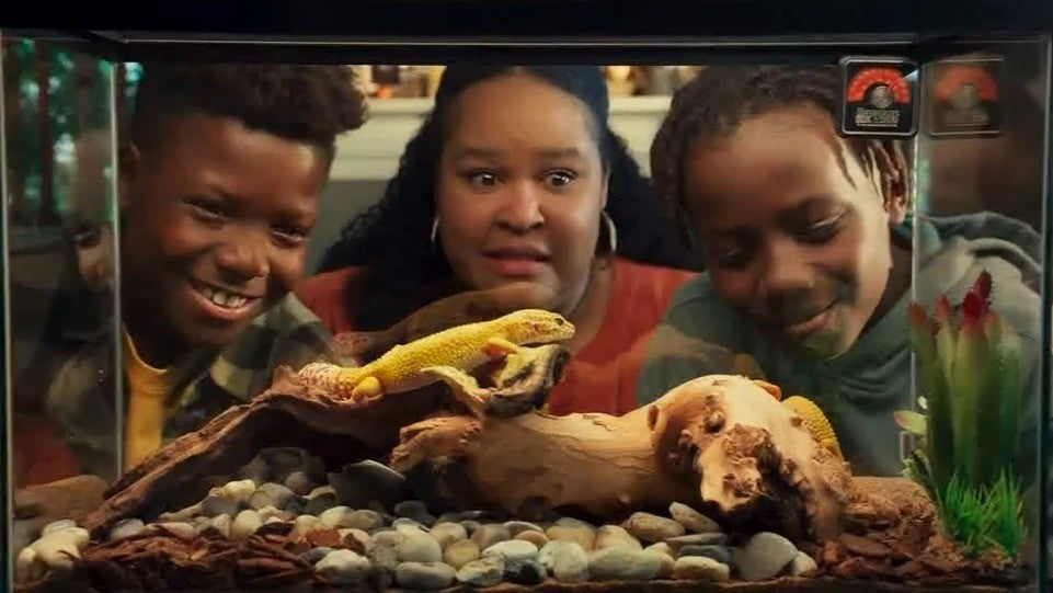 Animals in Advertising: Let's Talk About It