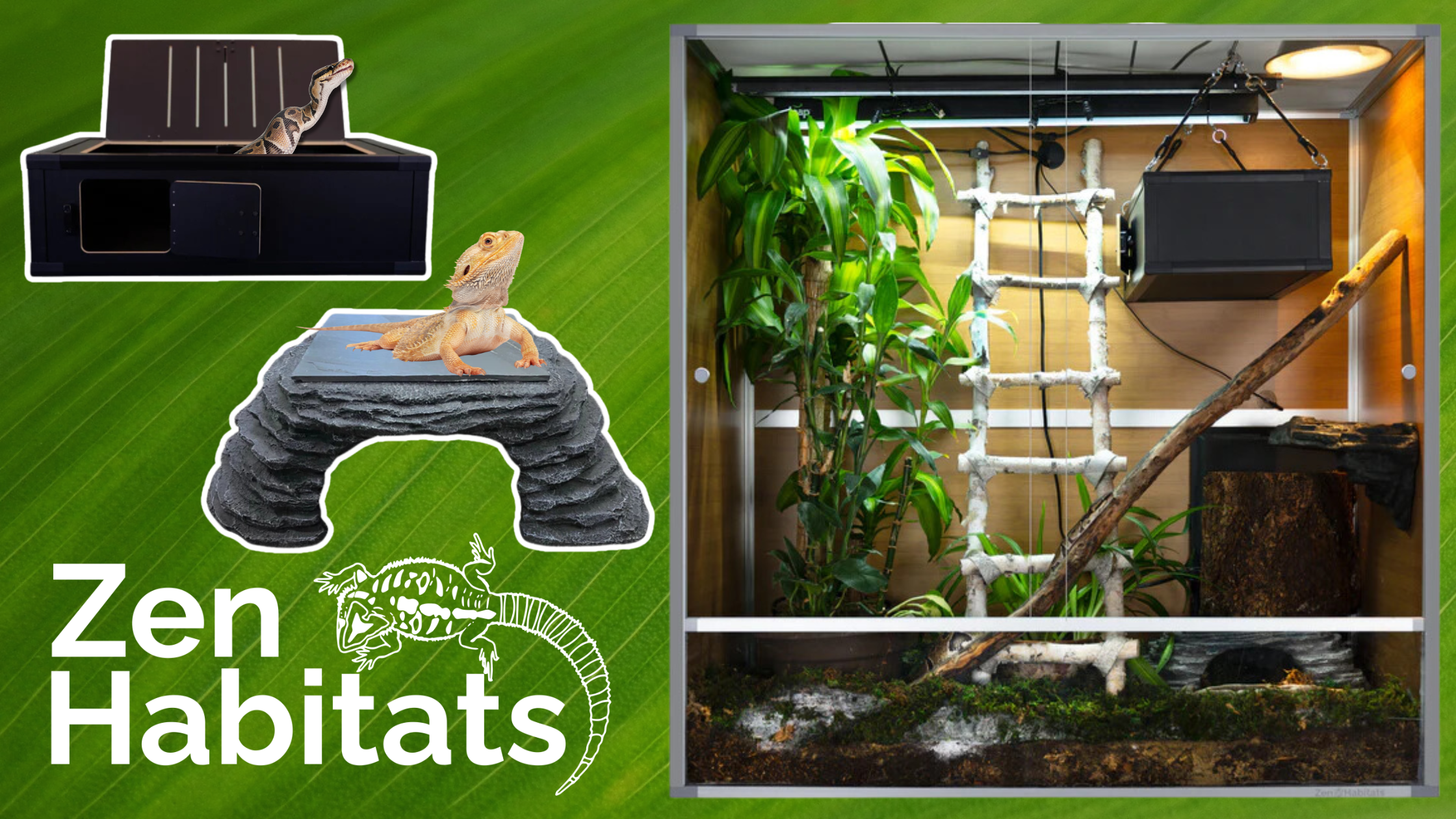 What You NEED to Know About Product Innovation: Zen Habitats' Approach to Innovating for the Reptile Community