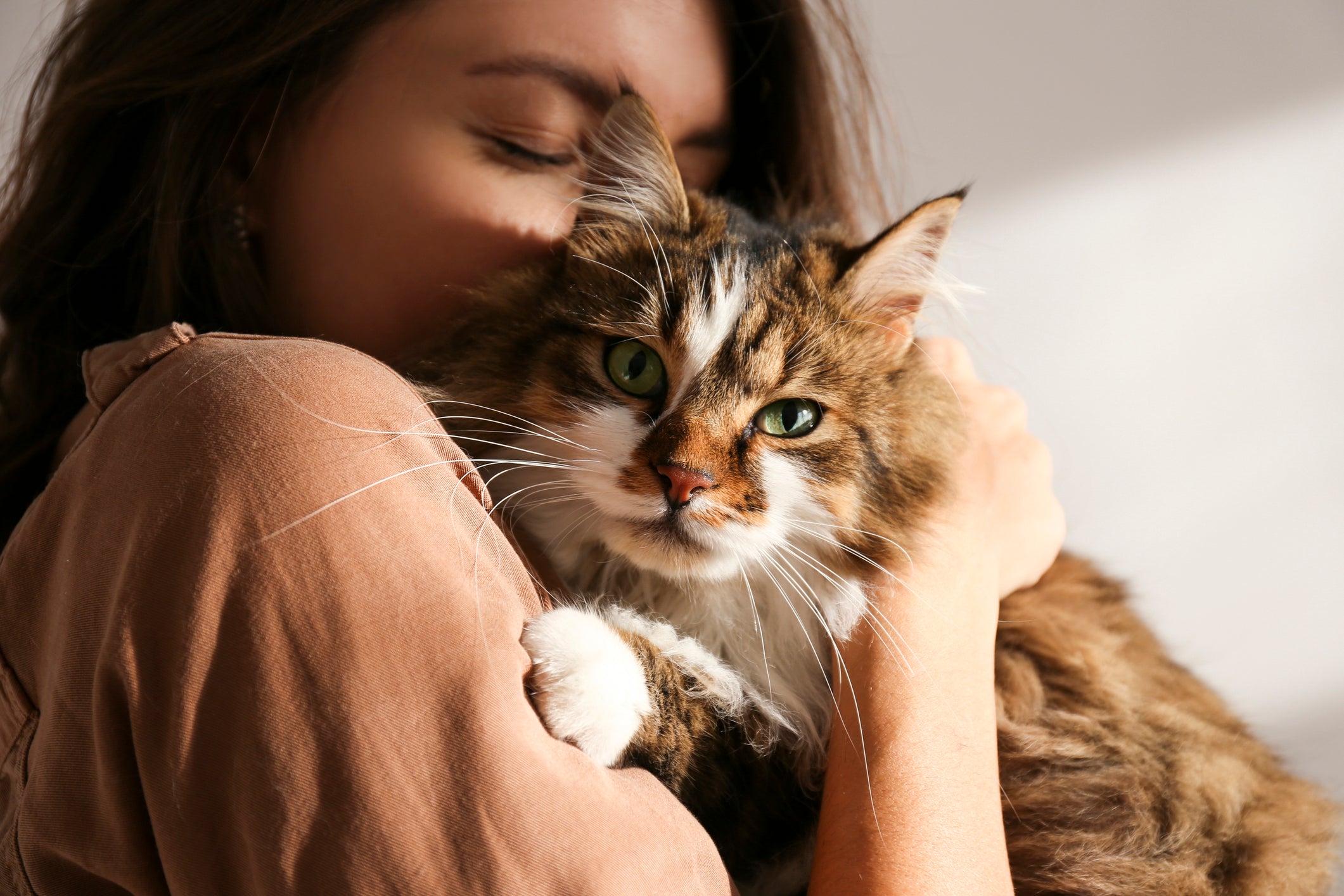 BEST Small Business Cat Products of 2024 | Holiday Gift Guide for Cat Lovers