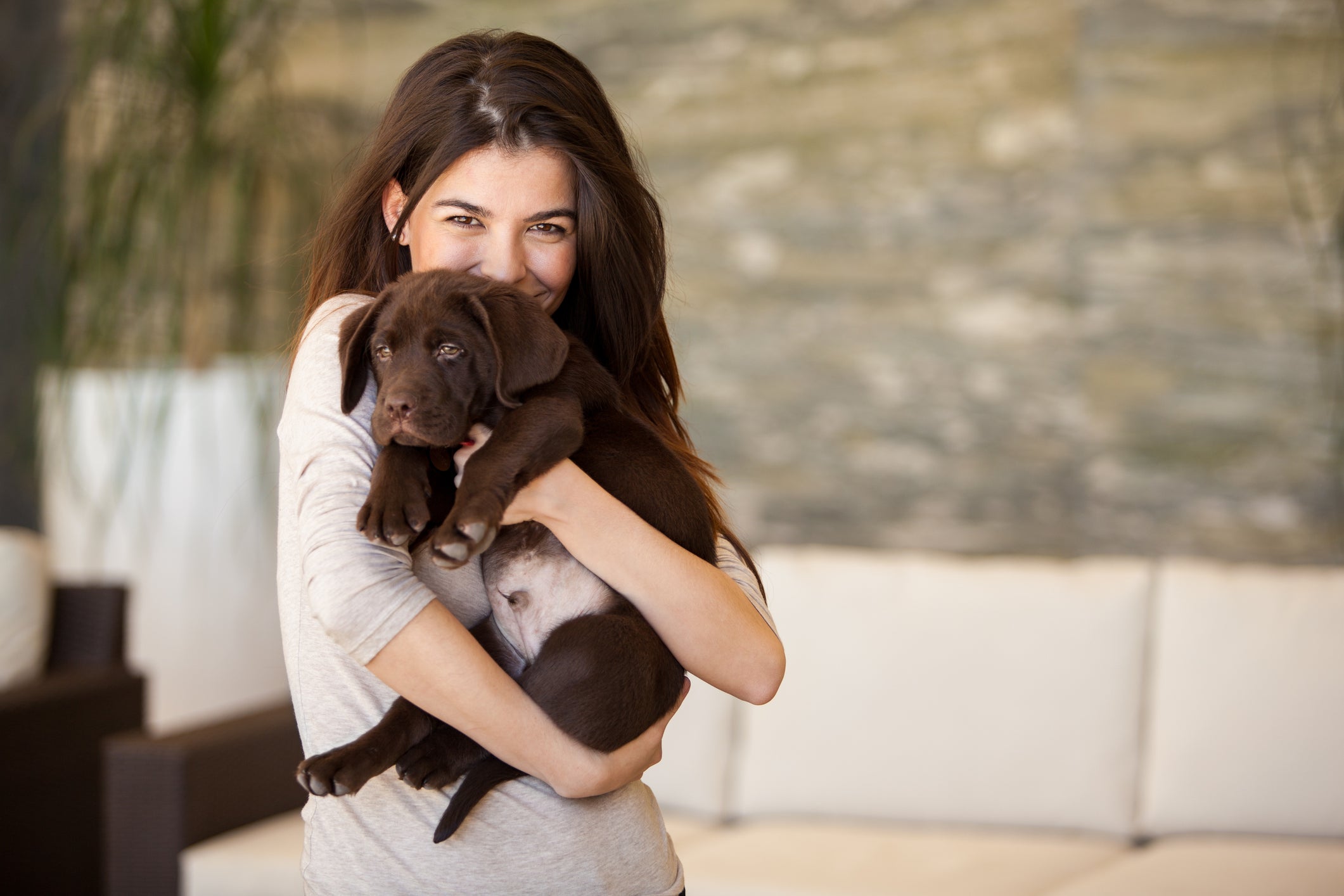 Understanding Fear Periods in Puppies and Young Dogs